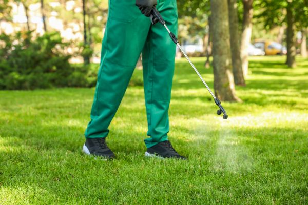 Missoula Lawn Treatment