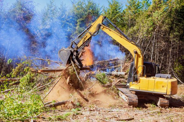 Missoula Land Clearing