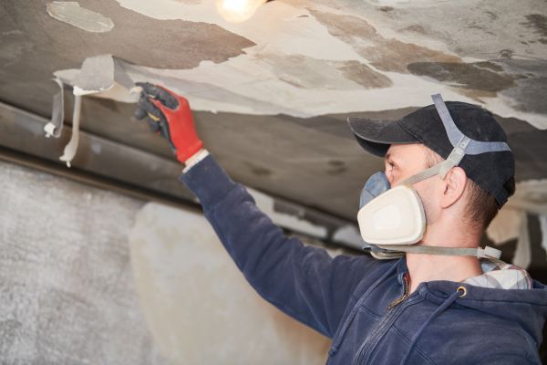 Missoula Fire Restoration